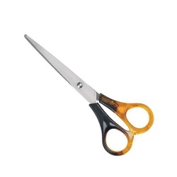 Scissors 6.5