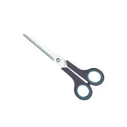 Scissors 6.5